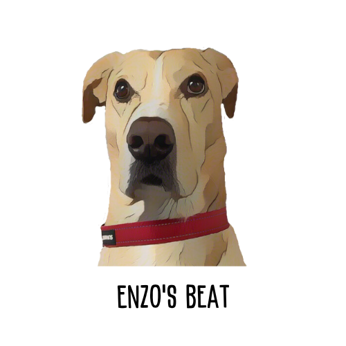 Enzo's Beat